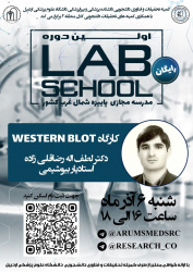 کارگاه Western blot دوره lab school